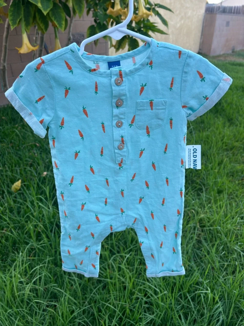 Old Navy Mint Green Baby Romper with Carrot Print